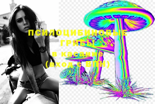 экстази Гусев
