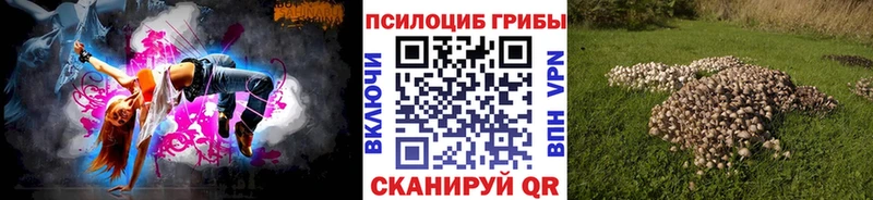 Псилоцибиновые грибы Cubensis  Новоржев 