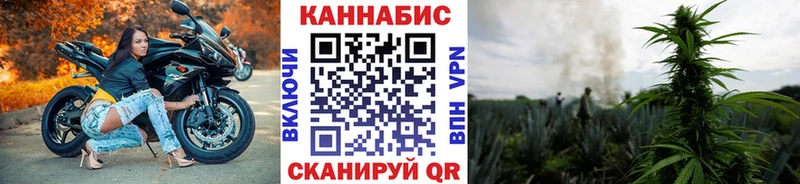 Канабис конопля  Новоржев 